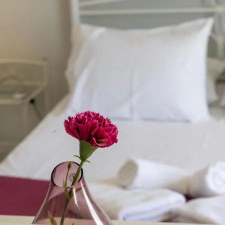 Theano - Family House In Lixouri, Kefalonia Appartement